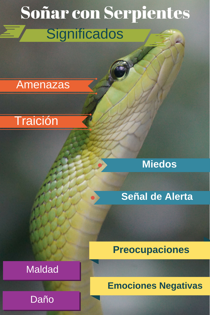 Significado De Los Suenos Mordida De Serpiente